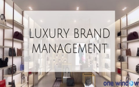 Luxury Brand Management Study in Europe